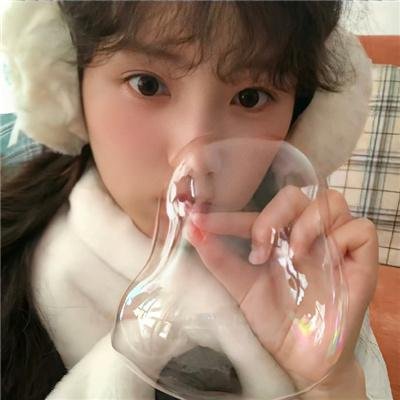 长安的荔枝